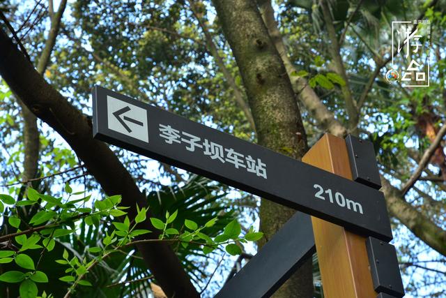 「趣旅游」山城重庆的“陷阱”:佛图关到李子坝只要210米?千万不要信