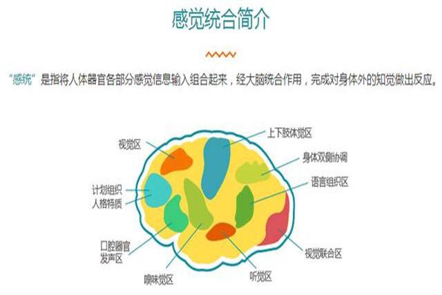 孩子注意力不集中总是健忘，父母别当小事，可能“感统失调”作祟