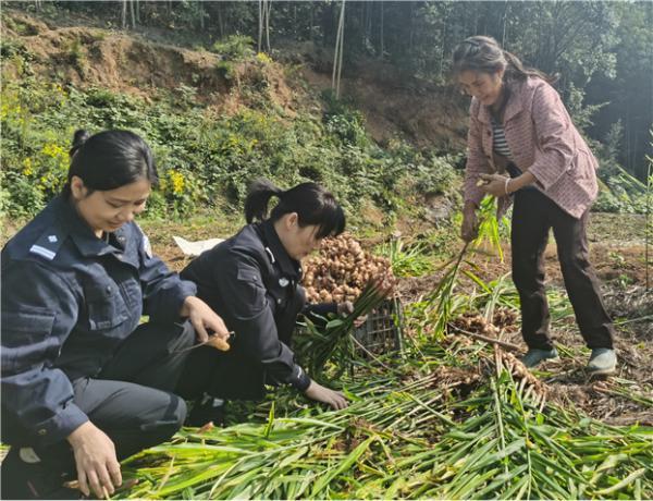 剑兰|春风十里不如你 铿锵警花绽芳华