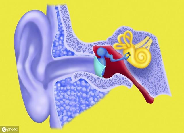 毛细胞|辟谣｜耳聋就是「听不见」？医生：「听不清」的耳聋更麻烦