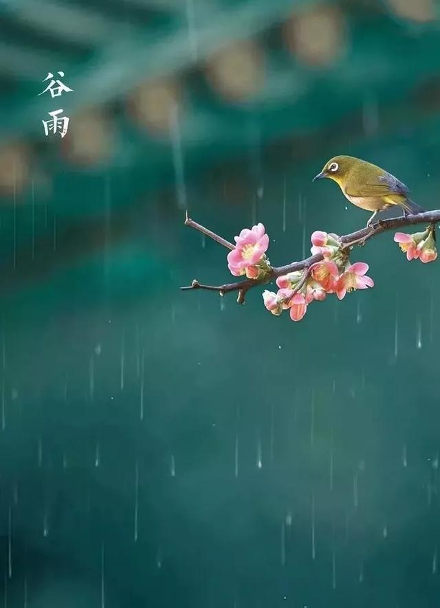 超级宝妈@《给孩子的节气古诗词》中十首谷雨诗词，留住最后一抹春色