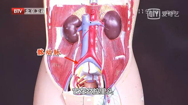 血管|下腹有硬块别忽视，小心引发大出血，死亡率50%！三招早发现