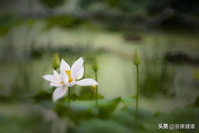 一双白手套，一个抑郁症家庭的辛酸