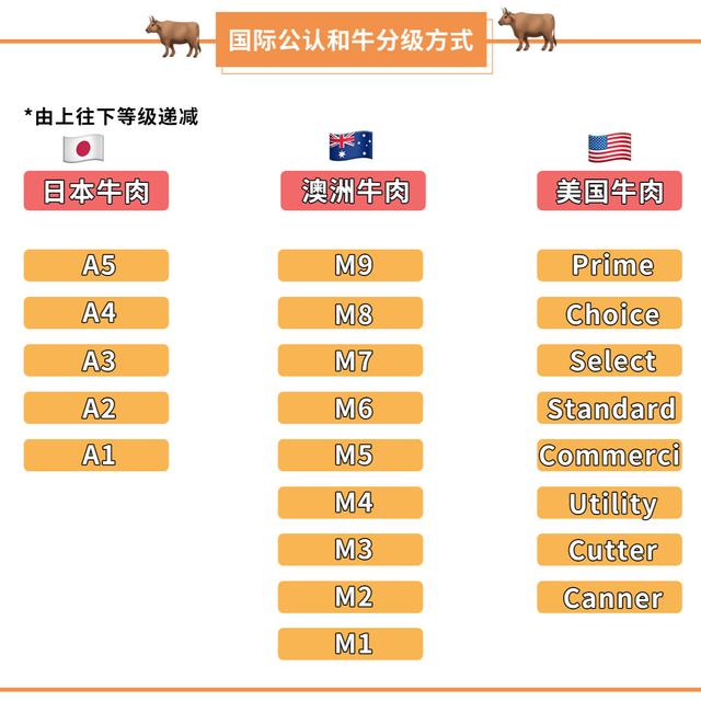 传闻中的日本和牛肉到底是什么？