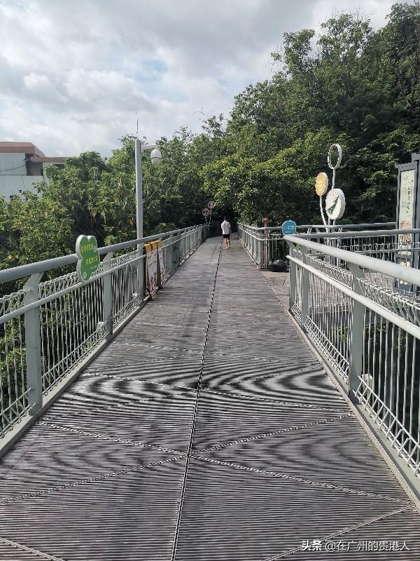 【山楂味的诗】走马观花,看顺德大良。