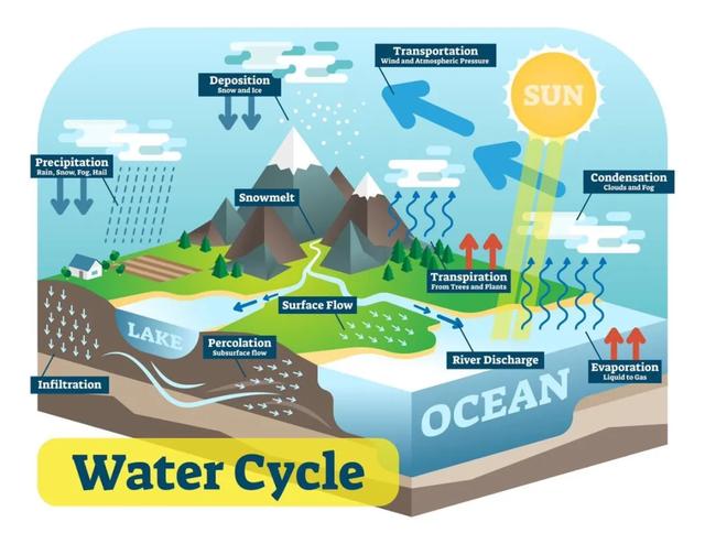 「超级宝妈」世界水日｜用绘本和纪录片让“水科普”变得好玩又有趣~