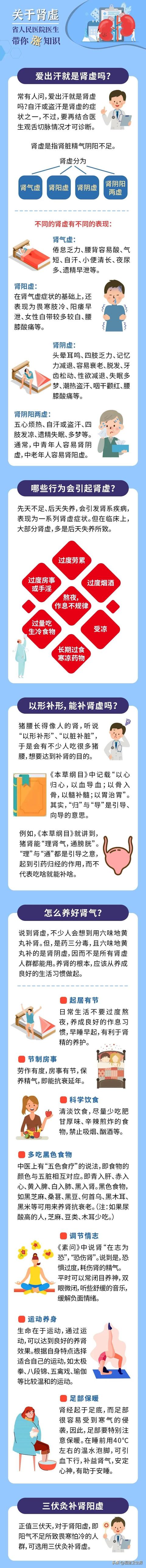 福建|猪腰能补肾吗？夏季三伏天是补肾气的好时节？福建省人民医院医生带你涨知识