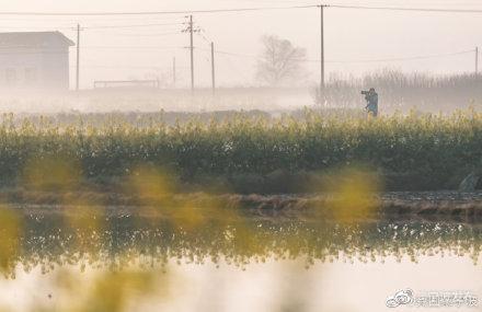 「光明网」开往春天的火车，穿梭油菜花田美