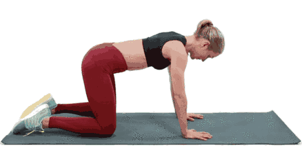 干货分享！深入剖析与腰痛相关的7块肌肉