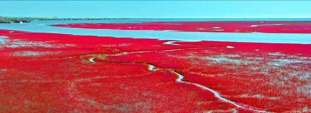 玩乐足迹@浪漫红色海岸线 盘锦旅游金名片