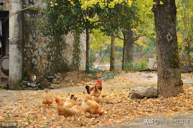 【超级宝妈】孩子写作文，怎么写好世间事物？《乡下人家》给出5点重要启发