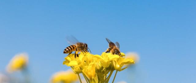 阴阳|“春捂秋冻”到底靠不靠谱？