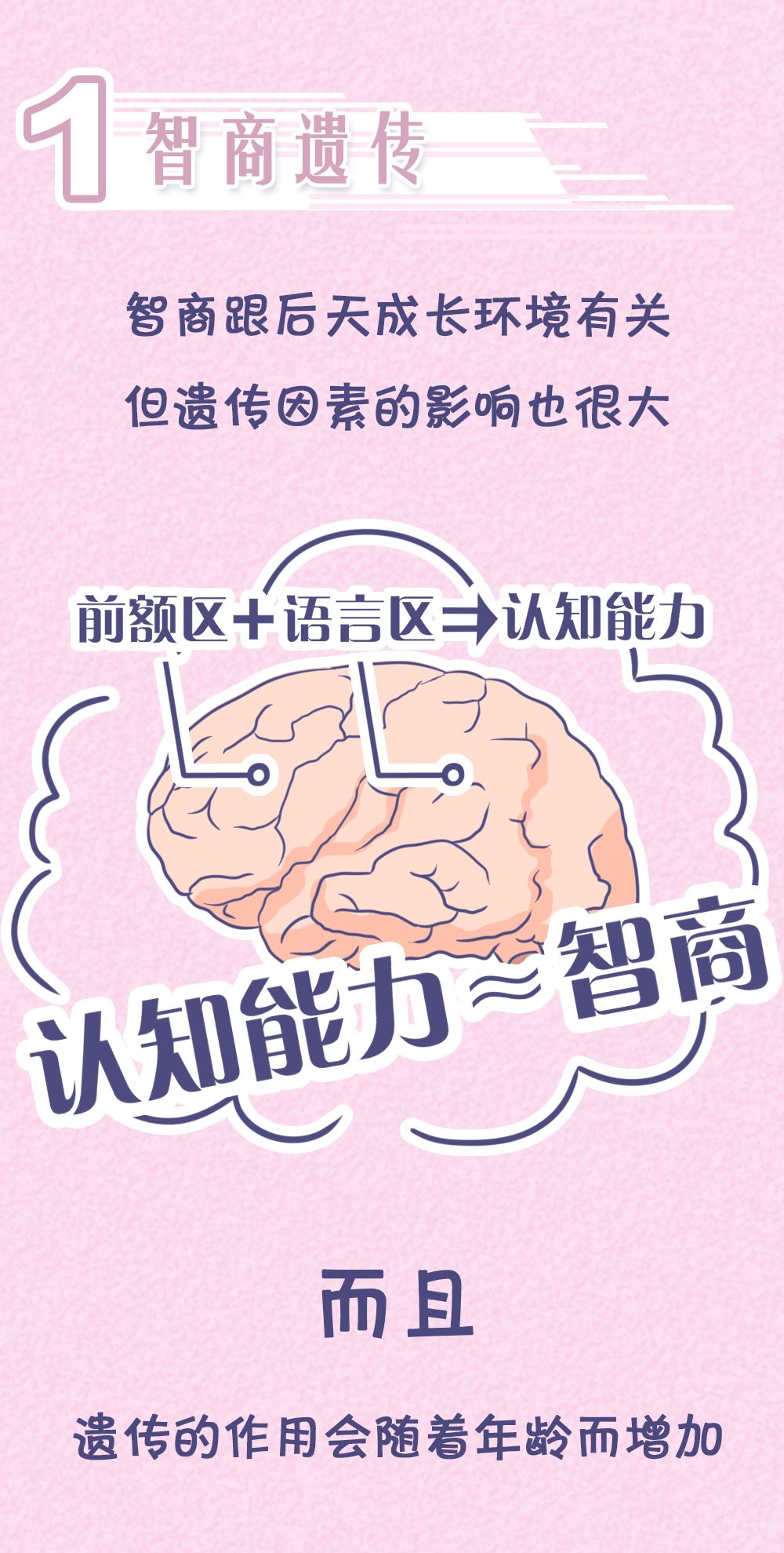 醉红颜：“女儿像爸，儿子像妈”？孩子智商究竟遗传谁？太准了……