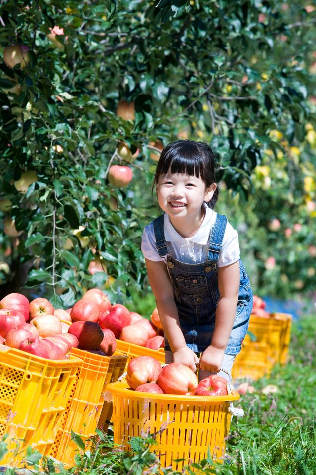 #你的育儿经#家庭训练日记——小活动、大运动，帮助孩子健康快乐成长