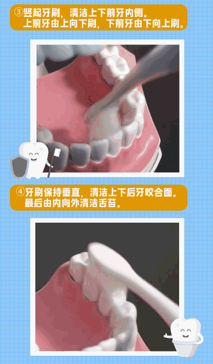 刷牙|牙齿清洁不彻底？快来get巴氏刷牙法