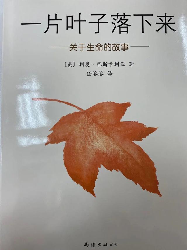 『上观新闻』家里的自然课（二十五）︱从自然绘本中读出生命存在的意义