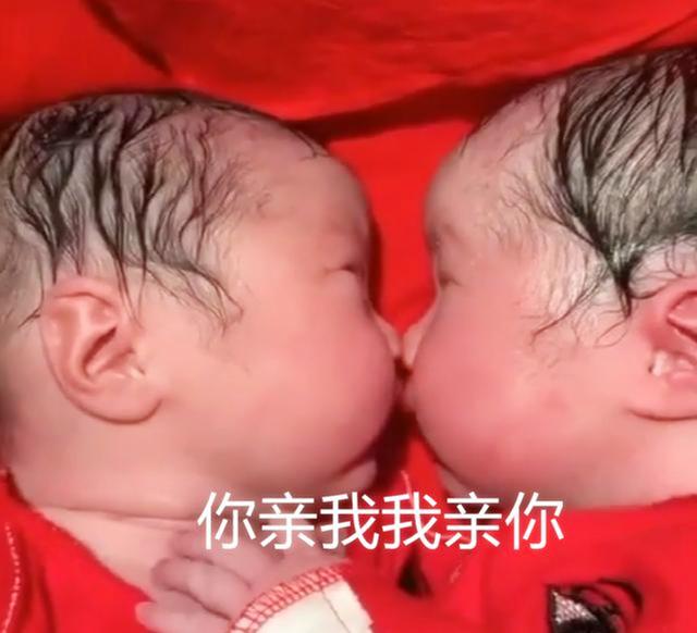 [你的育儿经]兄妹刚出生就一直亲，护士都分不开，这一幕实在太暖心了