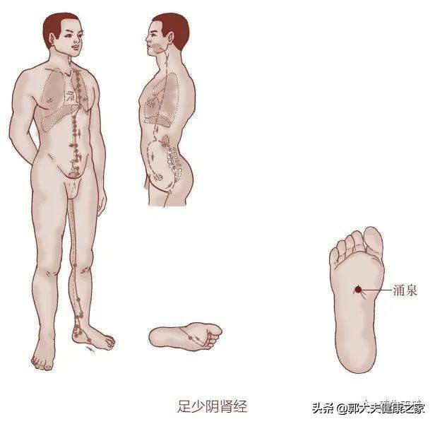 掌握好十二时辰养生法，包你神清气爽，身体倍儿棒！