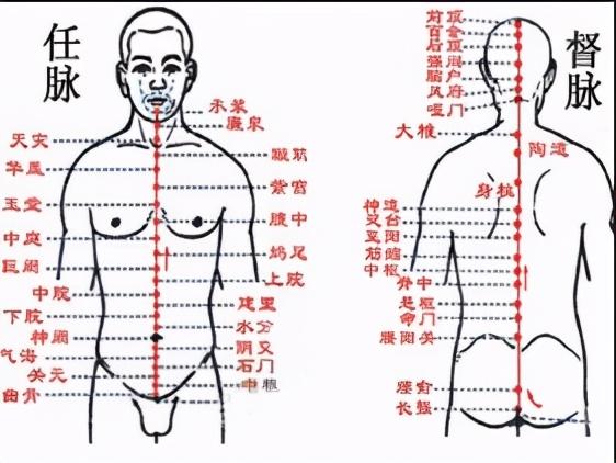 甲状腺、乳腺、子宫上的疾病同根同源，中医理论上如何健康调理？