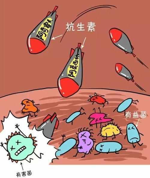 超级宝妈@养好肠道菌群，孕妇胎儿都获益
