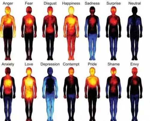 「暖先生格调」最新研究：把时间“浪费”在体育运动或者跑步上，学生成绩反而会提高
