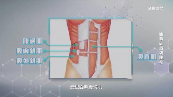 常被腰部疼痛困扰？疼痛科专家教您另辟蹊径调理有方