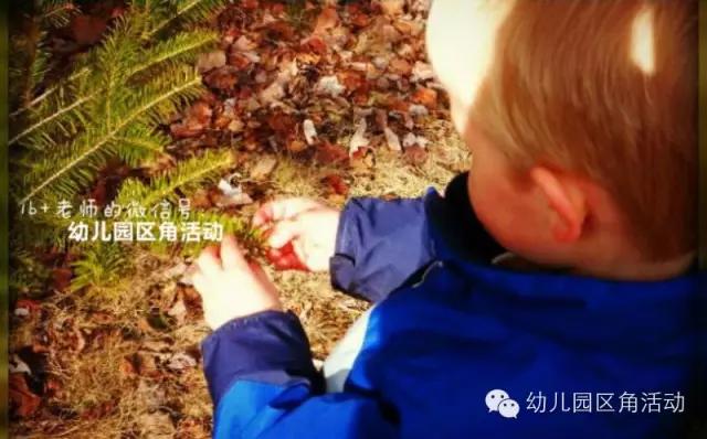 超级宝妈：平淡无奇的生活环节也能充满探索趣味？特级教师用这5样东西就行