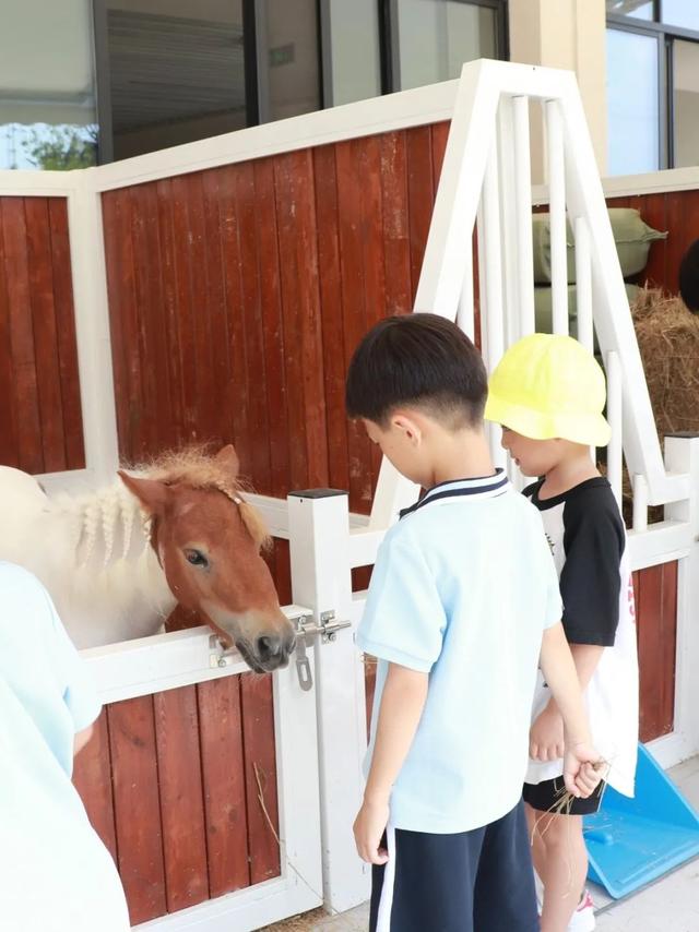「你的育儿经」从一个孩子到一群追梦人：宋庆龄幼儿园首次线上分享会在这