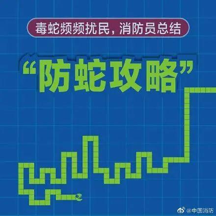 小丽|一朝被蛇咬，九岁女童右手功能丧失