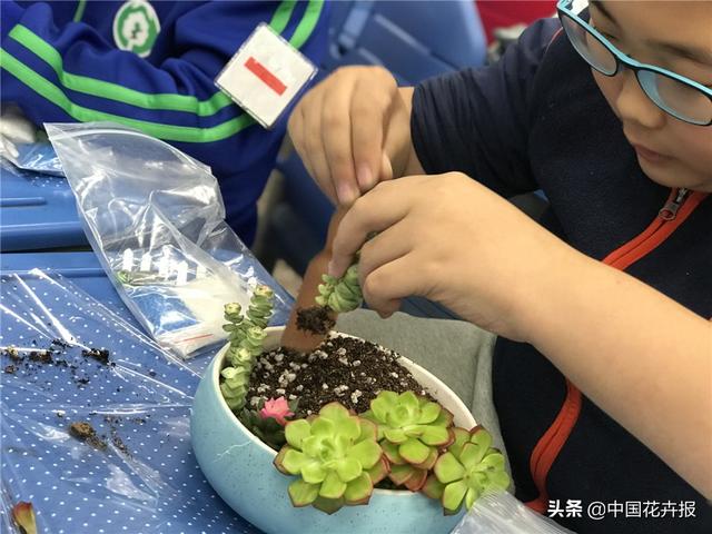 超级宝妈|儿童节在即,聊聊你所不知道的少儿花艺