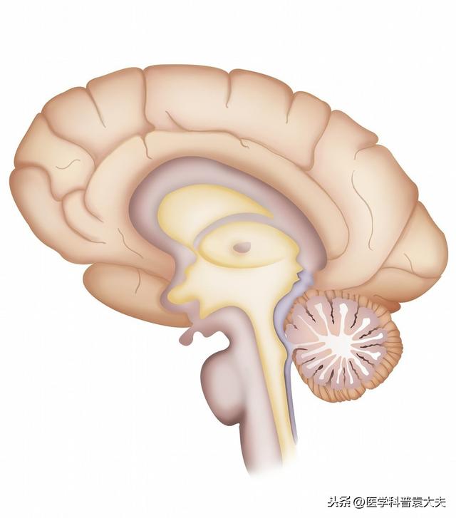 脑科医生带您解读：CT/磁共振报告上的“脑萎缩”是不是病