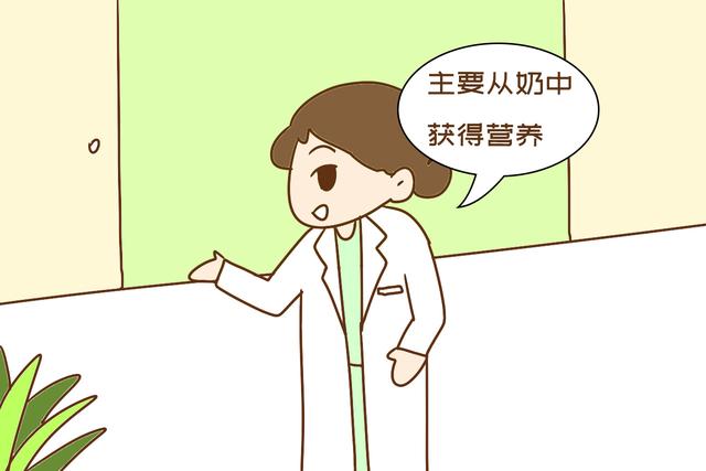 [画说育儿]孩子先吃奶还是先吃饭？年龄段不同顺序也不同，别弄错了