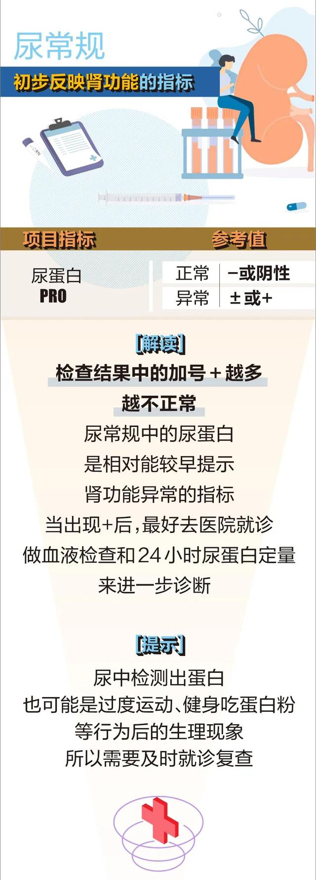 肾功能是好是坏，这3项指标会“说话”| 体检密码