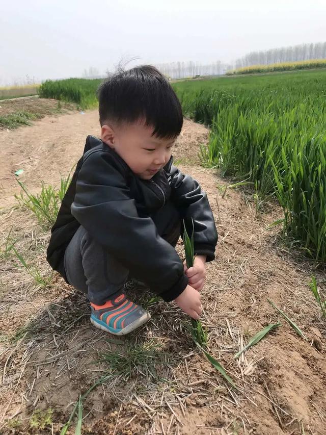 「你的育儿经」来自南京幼儿园的“春天散文诗”