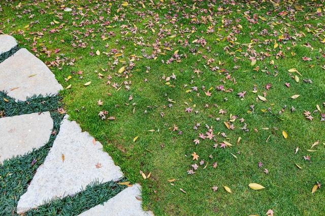 #约吗旅行#在昆明古滇温泉泡汤,我明显觉得南方和北方温泉的区别是这样