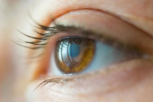 这13个逆生长“处方”！帮你抗衰老！