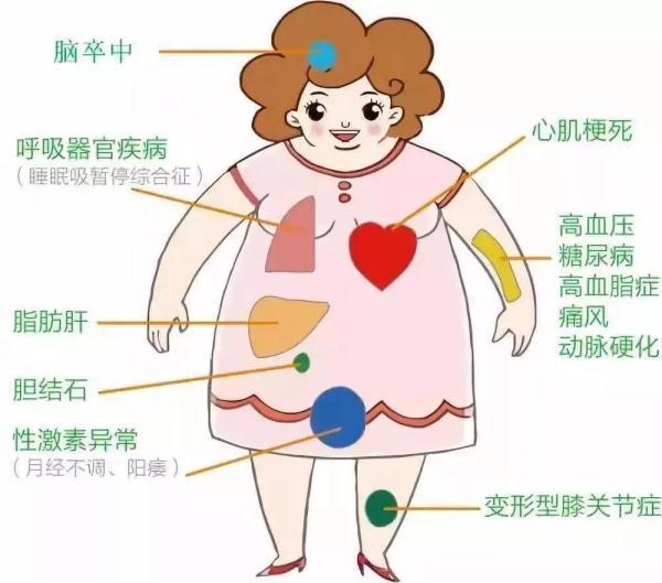 肥胖|中国成人中已经有超过一半的人存在超重或肥胖，如何保持健康体重？