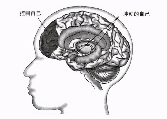 不到万不得已，千万不能和一个戒烟成功的人交朋友