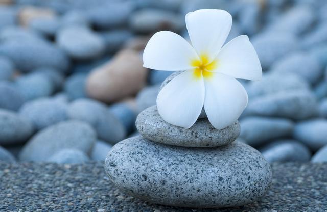 Yellow Emperor's Classic of Internal Medicine: How to Live to 100 Years Old? The Secrets of Longevity