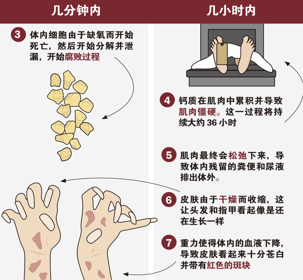 『暖先生格调』刘真去世，4岁女儿不知道妈妈走了？几岁可以和孩子谈生死？