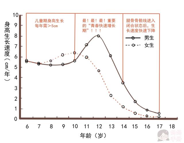 发育|开春后长高黄金期，抓住这三点，孩子猛蹿个儿