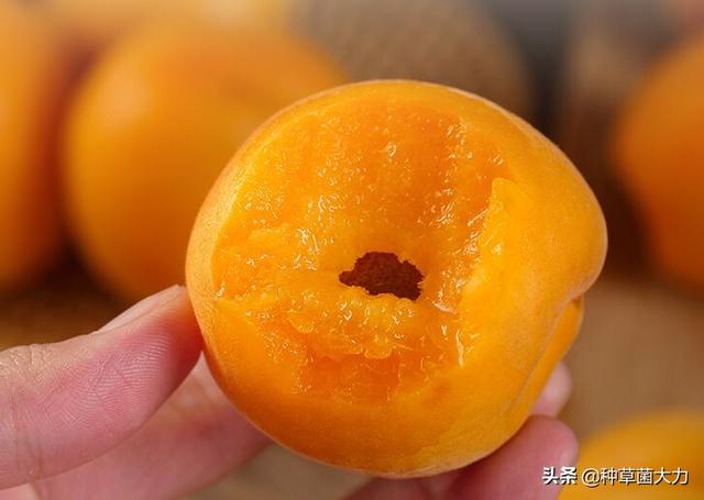 #你的育儿经#忽冷忽热的春天，多给孩子吃这四种水果，增强抵抗力又防“春燥”