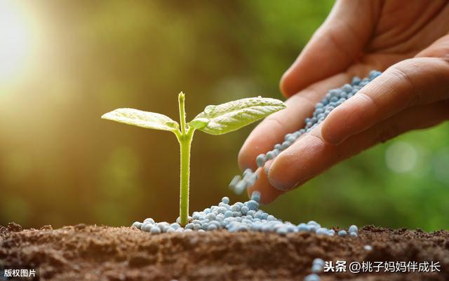 【超级宝妈】别总是打骂你的孩子，感到不安就逃跑，这是动物都会有的生理反应