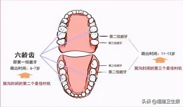 壮壮|宁德13岁男孩不愿意吃饭，一查牙齿惊呆！医生：这种想法，错误