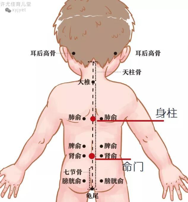 你的育儿经|夏天湿热还用艾灸给宝宝驱寒？认准这四个穴位