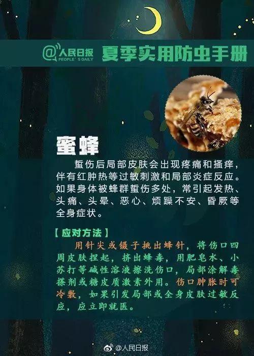 小琳|清明出游后腿上多了几个红斑！医生紧急提醒