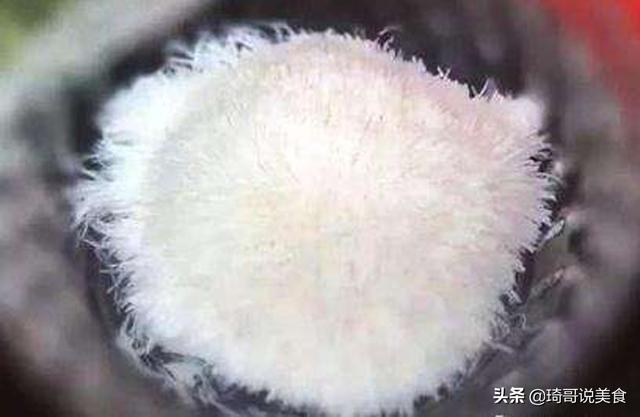 “世界级”切豆腐大赛，日本厨师切出菊花，中国：见过蒲公英吗？