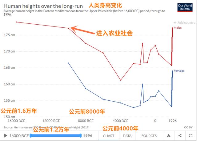 国外悄悄流行的纯肉饮食，这25个常见问答，可能颠覆你的营养认知