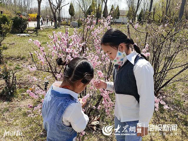 【大众网东营】陈庄镇中心幼儿园开展清明节系列活动