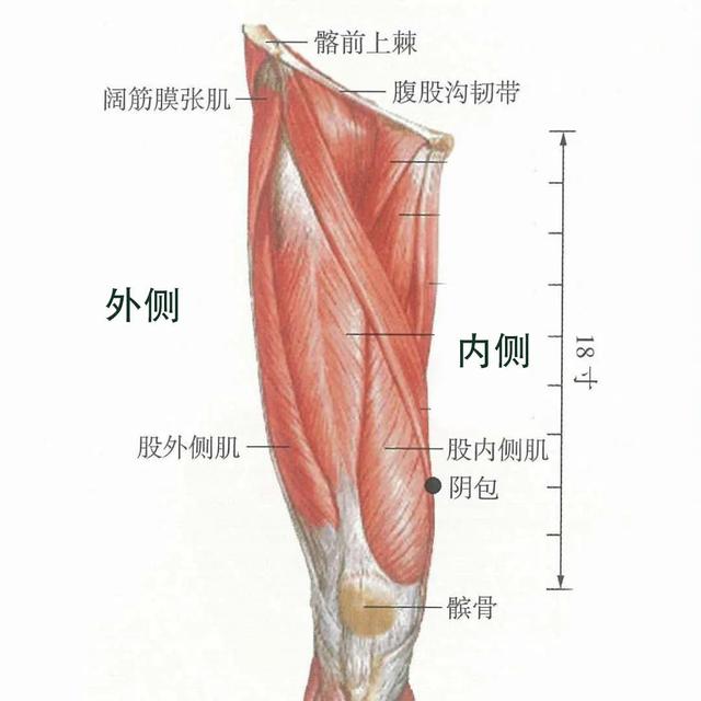 半夜经常惊醒是因为身体在求救，6招教你改善身体